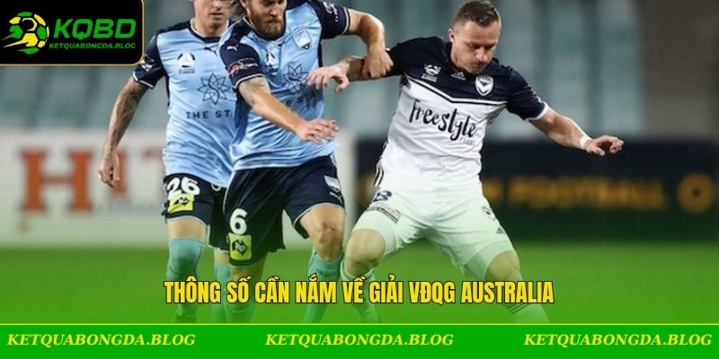 Thông số cần nắm về giải VĐQG Australia